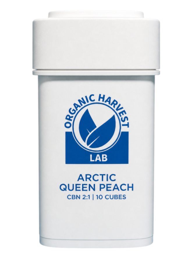 Arctic Queen